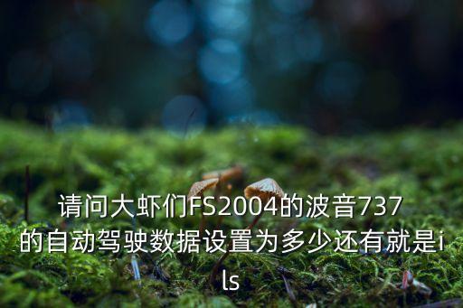 自動駕駛數(shù)據(jù)標注是什么，請問大蝦們FS2004的波音737的自動駕駛數(shù)據(jù)設置為多少還有就是ils