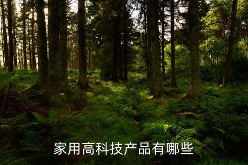 家用科技產(chǎn)品有哪些，家庭里一般的高科技產(chǎn)品