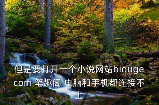 但是要打開(kāi)一個(gè)小說(shuō)網(wǎng)站biqugecom 筆趣閣 電腦和手機(jī)都連接不上