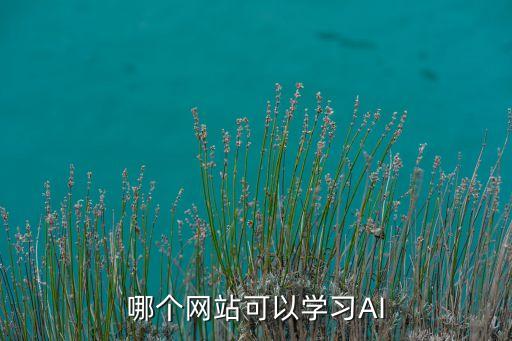 ai智能繪畫網(wǎng)站，Ai學習網(wǎng)站