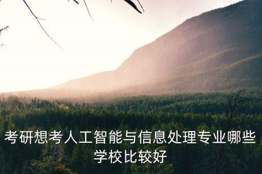 考研想考人工智能與信息處理專業(yè)哪些學(xué)校比較好