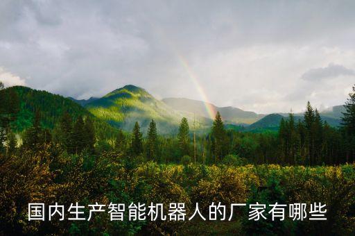 中國(guó)制造機(jī)器人最大的公司，國(guó)內(nèi)生產(chǎn)智能機(jī)器人的廠(chǎng)家有哪些