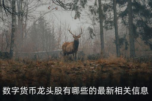 數(shù)字貨幣龍頭股一覽表2022，數(shù)字貨幣概念股有哪些公司