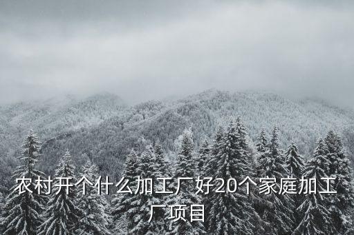 農(nóng)村開個什么加工廠好20個家庭加工廠項目