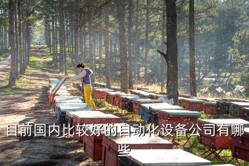 目前國內(nèi)比較好的自動化設備公司有哪些