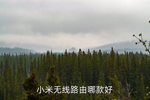 小米智能家居有哪些，小米智能音箱小愛有幾種