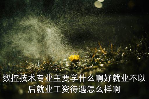 數(shù)控技術(shù)專業(yè)主要學(xué)什么啊好就業(yè)不以后就業(yè)工資待遇怎么樣啊