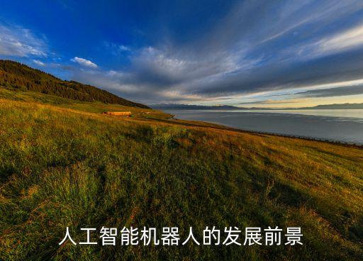 ai未來(lái)的發(fā)展方向，人工智能機(jī)器人的發(fā)展前景