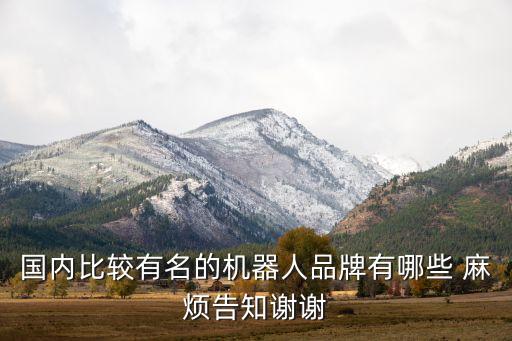國內(nèi)比較有名的機(jī)器人品牌有哪些 麻煩告知謝謝