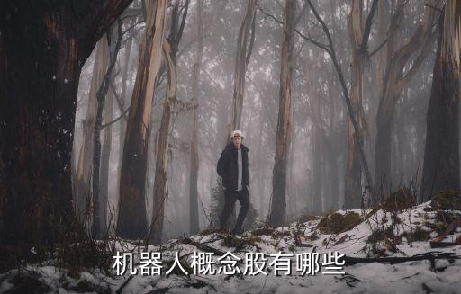 機(jī)器人概念股有哪些