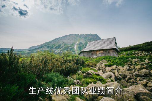 生產(chǎn)線優(yōu)秀團(tuán)隊(duì)業(yè)績簡介