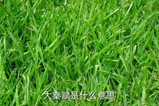 風(fēng)險賦能什么意思，賦能名詞解釋