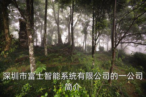深圳市富士智能系統(tǒng)有限公司的一公司簡介