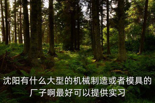 沈陽有什么大型的機械制造或者模具的廠子啊最好可以提供實習(xí)