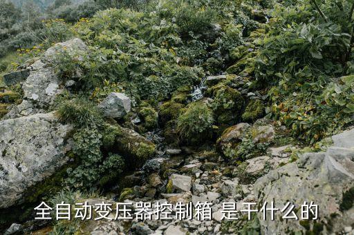 全自動(dòng)控制箱，污水潛水泵哪個(gè)牌子好