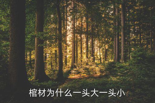 大原始時(shí)代，原始大時(shí)代為什么不更新了