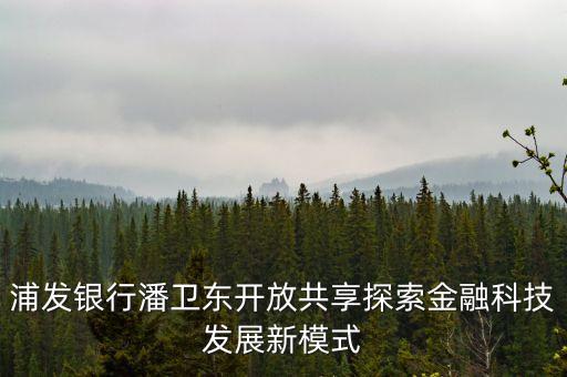浦發(fā)銀行潘衛(wèi)東開放共享探索金融科技發(fā)展新模式