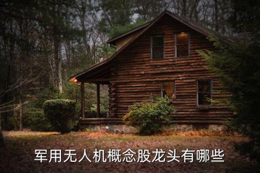 軍用無(wú)人機(jī)概念股龍頭有哪些