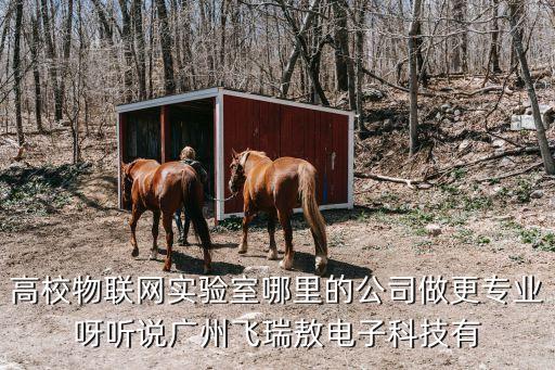 高校物聯(lián)網(wǎng)實(shí)驗(yàn)室哪里的公司做更專業(yè)呀聽說(shuō)廣州飛瑞敖電子科技有