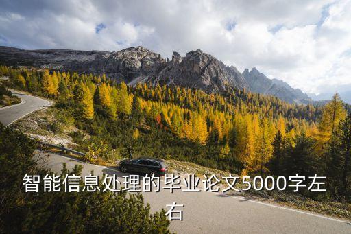 智能信息處理技術(shù)論文，智能信息處理的學(xué)習(xí)研究方向