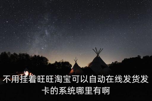 不用掛著旺旺淘寶可以自動在線發(fā)貨發(fā)卡的系統(tǒng)哪里有啊