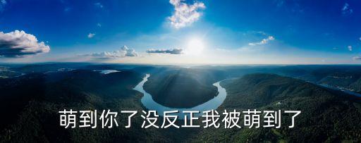 萌到你了沒(méi)反正我被萌到了
