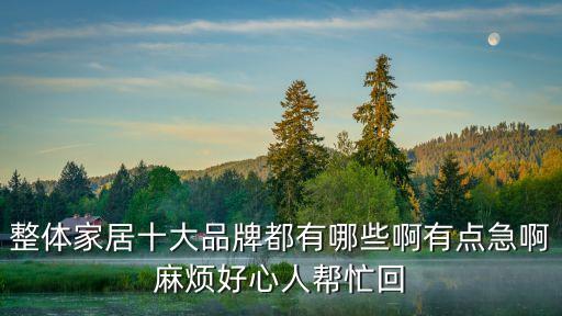 整體家居十大品牌都有哪些啊有點急啊麻煩好心人幫忙回