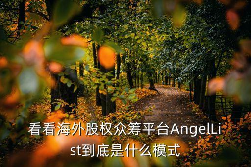 海外眾籌運營服務(wù)，看看海外股權(quán)眾籌平臺AngelList到底是什么模式