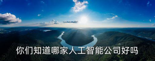 人工智能平臺(tái)公司，天天說人工智能都有哪些靠譜的公司真的在搞AI