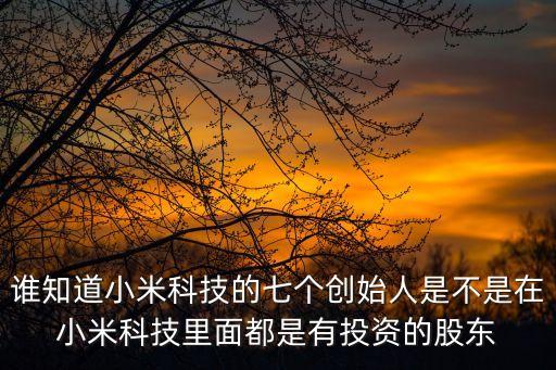 誰知道小米科技的七個創(chuàng)始人是不是在小米科技里面都是有投資的股東