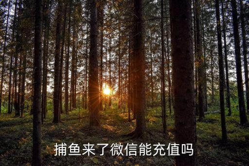 捕魚來了微信能充值嗎