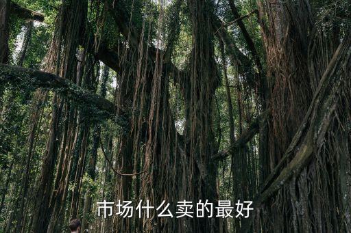 市場賣貨啥最好賣，市場上什么東西最好賣