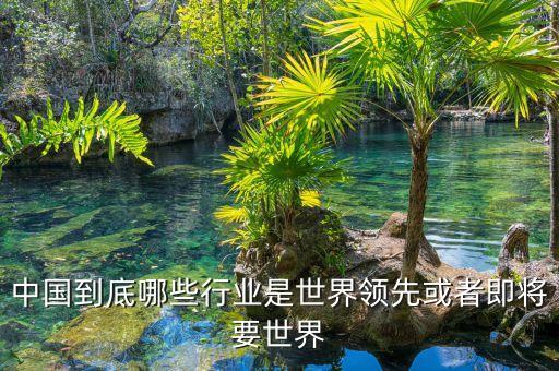 中國到底哪些行業(yè)是世界領先或者即將要世界