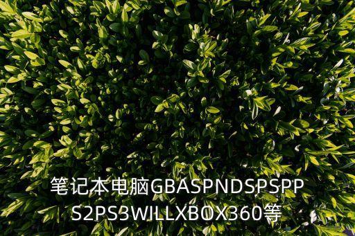 筆記本電腦GBASPNDSPSPPS2PS3WILLXBOX360等