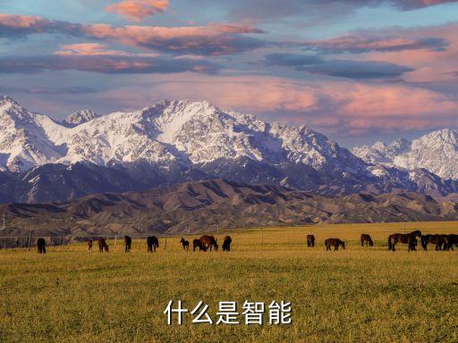 智能是什么，什么是智能