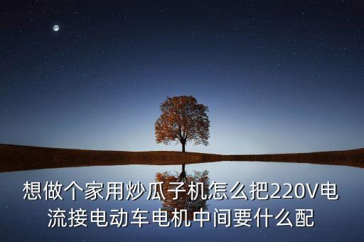 想做個(gè)家用炒瓜子機(jī)怎么把220V電流接電動車電機(jī)中間要什么配