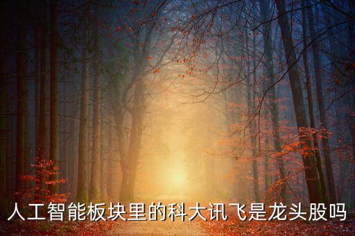 人工智能板塊里的科大訊飛是龍頭股嗎