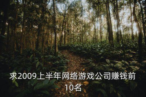 求2009上半年網(wǎng)絡游戲公司賺錢前10名