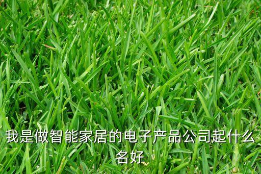 我是做智能家居的電子產(chǎn)品公司起什么名好