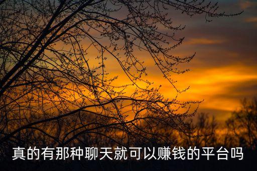 真的有那種聊天就可以賺錢的平臺嗎