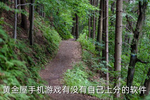 黃金屋手機(jī)游戲有沒有自己上分的軟件