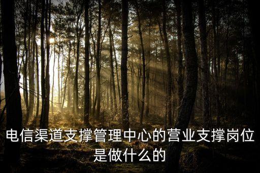 業(yè)務(wù)支撐崗位職責(zé)，建設(shè)銀行業(yè)務(wù)支持類崗位是做什么