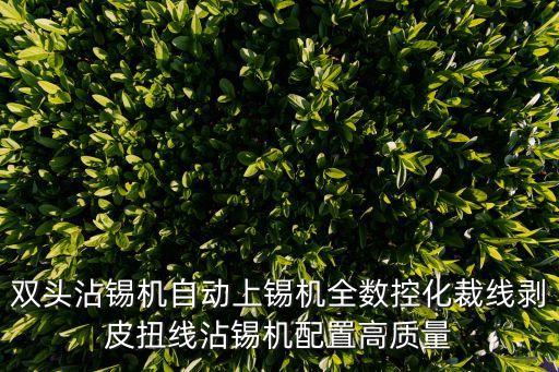 雙頭沾錫機(jī)自動(dòng)上錫機(jī)全數(shù)控化裁線剝皮扭線沾錫機(jī)配置高質(zhì)量