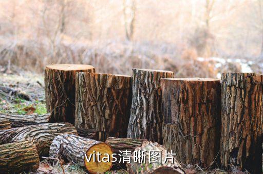 vitas清晰圖片