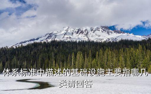 體系標準中描述的基礎(chǔ)設(shè)施主要指哪幾類請回答