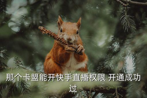 那個(gè)卡盟能開快手直播權(quán)限 開通成功過