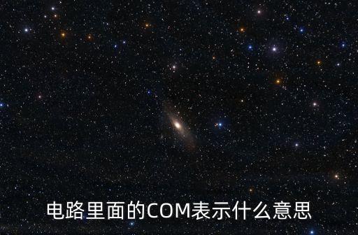 電路COM，在電路中com表示什么