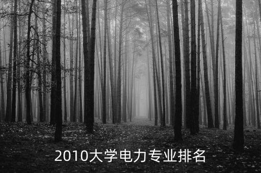 2010大學電力專業(yè)排名