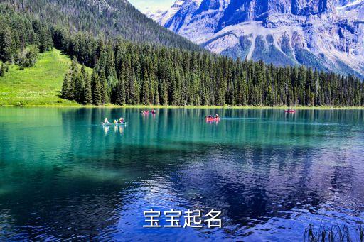 取名字大全免費(fèi)查詢，免費(fèi)取名字大全