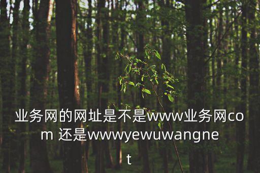業(yè)務網(wǎng)的網(wǎng)址是不是www業(yè)務網(wǎng)com 還是wwwyewuwangnet